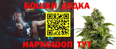 гидра Гусев