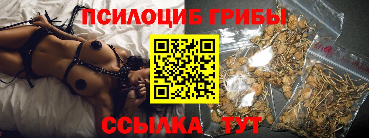Псилоцибиновые грибы MAGIC MUSHROOMS Нефтекумск