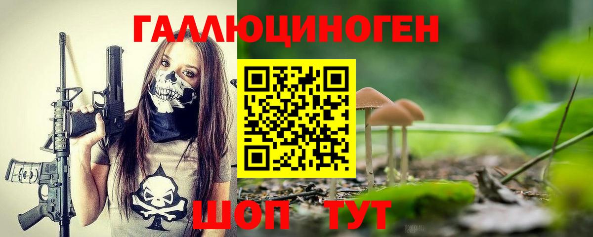 Псилоцибиновые грибы прущие грибы  Вход с VPN  Псилоцибиновые грибы мицелий  купить   Нефтекумск 