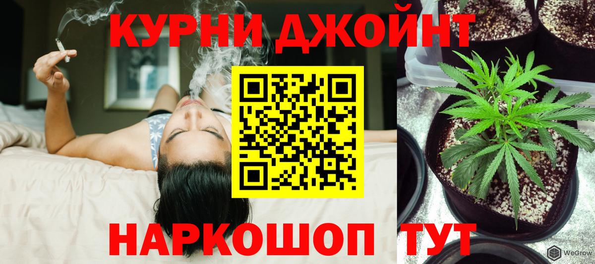 Конопля AK-47  Бошки марихуана план  Вход с VPN  Нефтекумск  Канабис индика 